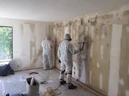 Professional Mold Removal & Remediation in San Diego Country Estates, CA